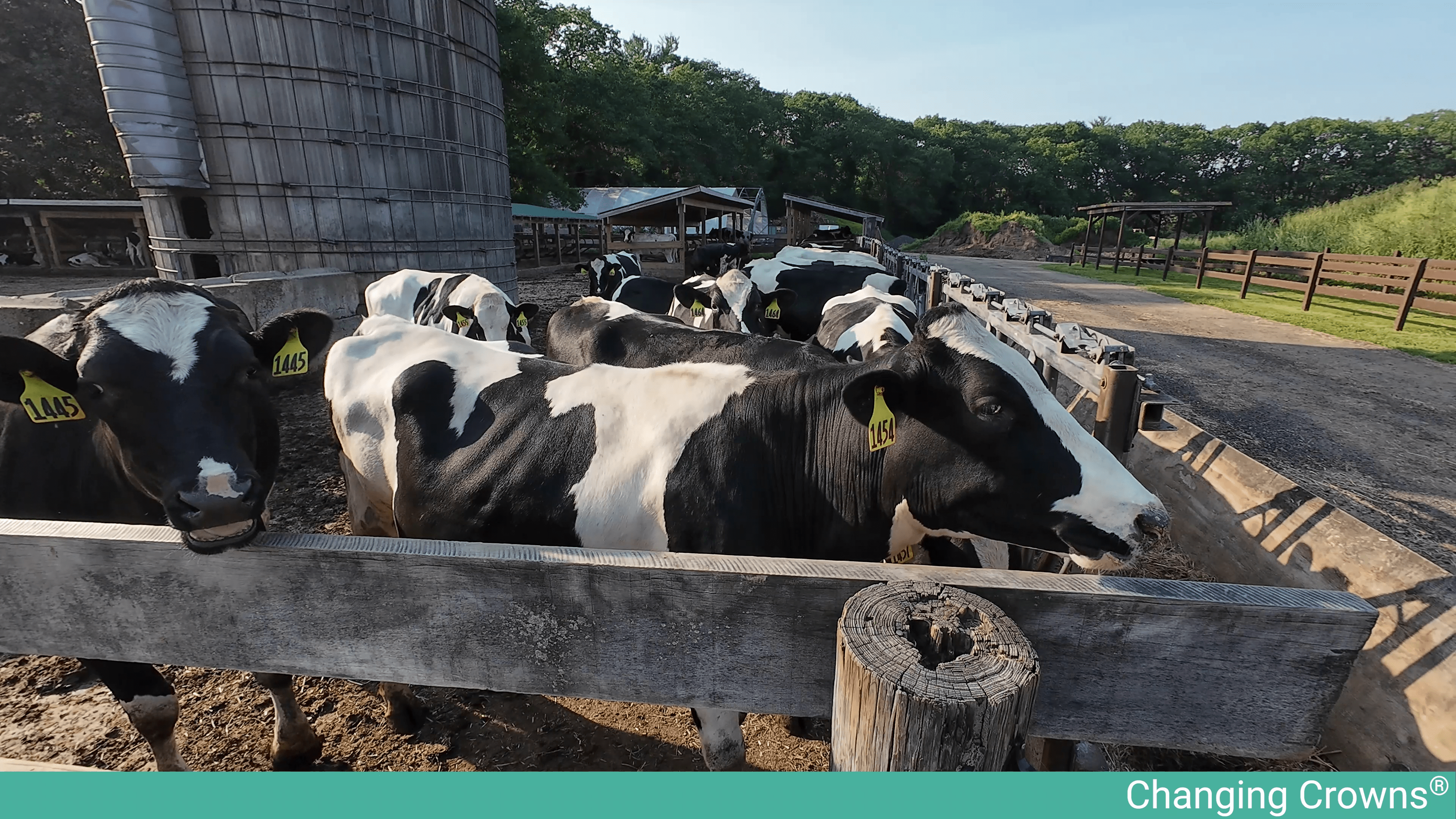 Carlisle: One of Massachusetts' Safest Spots to Put Down Roots